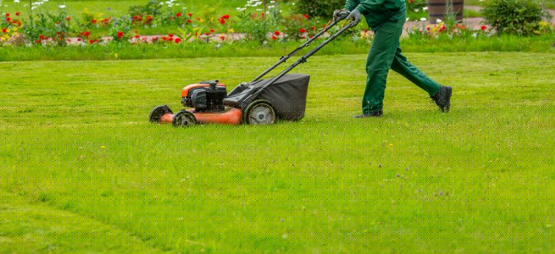 Routine Lawn Maintenance