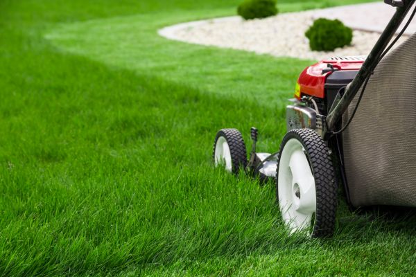 Grass Cutting Service