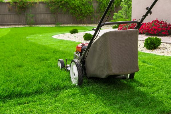 Grass Mowing in Conyers