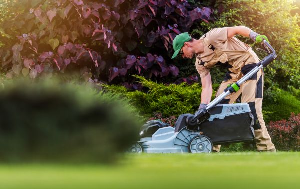 Cost of Lawn Care And Maintenance in Conyers