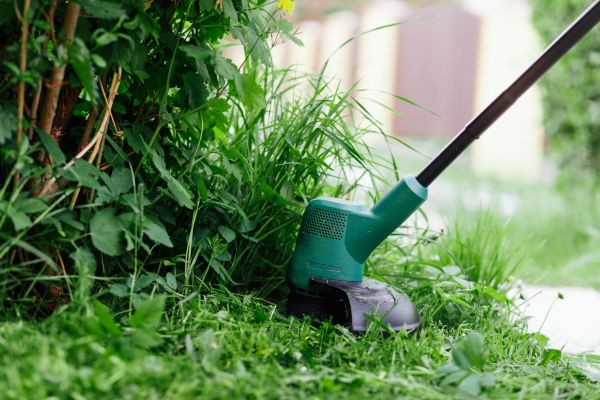 Cost of Weed Whacking in Conyers
