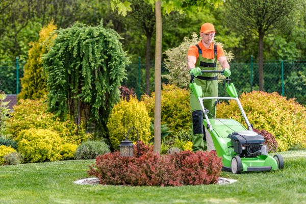 Cost of Yard Service in Conyers