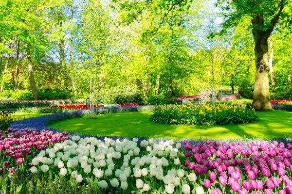 Cost of Spring Lawn Care in Conyers