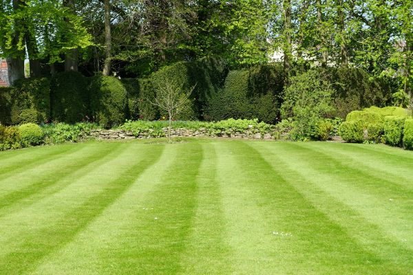 Cost of Grass Care Service in Conyers