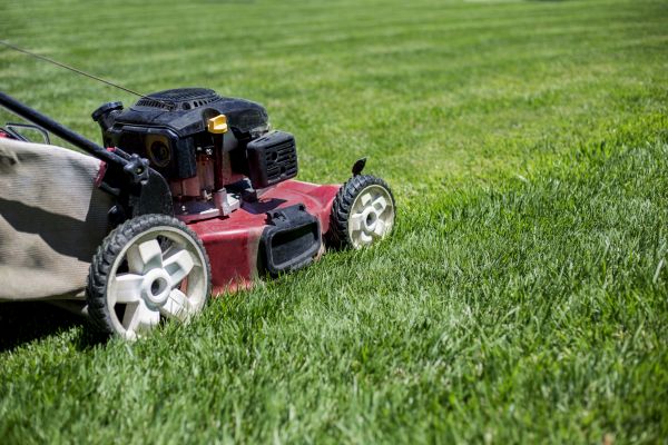 Cost of Routine Lawn Care in Conyers