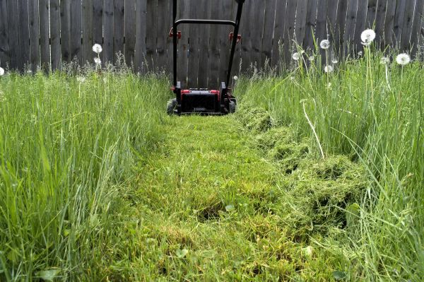 High Grass Mowing in Conyers