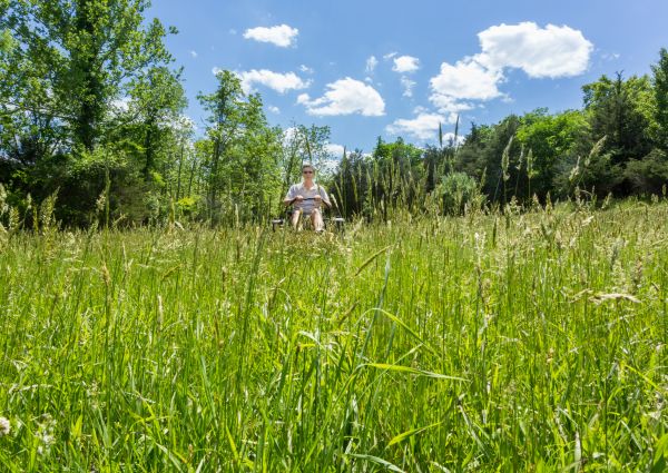 Long Grass Mowing in Conyers