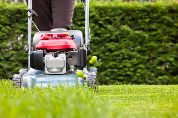 Cost of Grass Trimming Service in Conyers