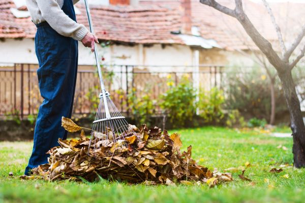 Cost of Routine Lawn Maintenance in Conyers