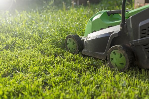 Cost of Lot Mowing in Conyers