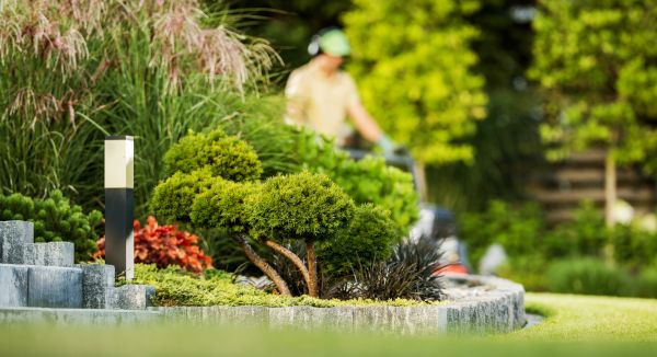 Residential Yard Maintenance in Conyers