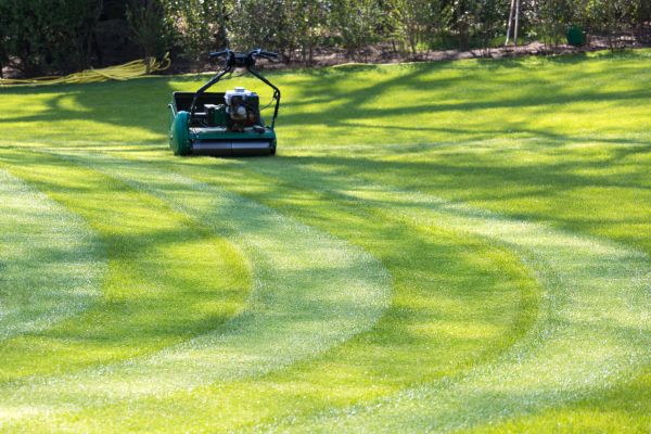 Business Lawn Mowing in Conyers