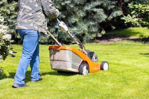 Cost of Springtime Lawn Care in Conyers