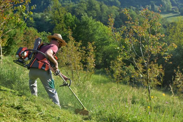 Cost of Slope Mowing in Conyers