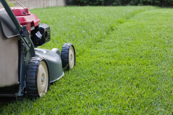 Cost of Spring Lawn Maintenance in Conyers
