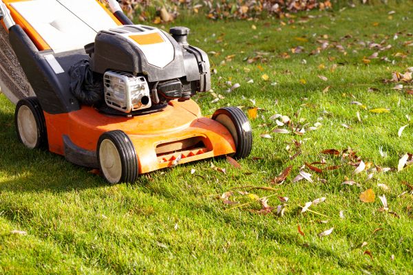 Cost of Fall Mowing in Conyers