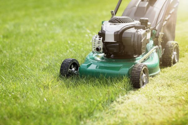 Cost of Spring Grass Trimming in Conyers
