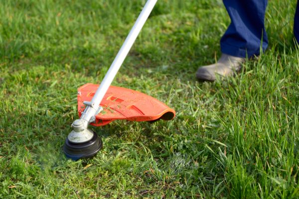 Cost of Lawn Weed Whacking in Conyers